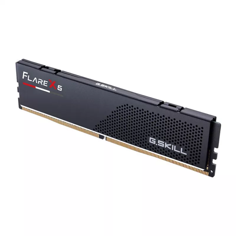 DIMM 16 GB DDR5-6000, atmintis juoda, F5-6000J3038F16GH1-FX5, Flare X5