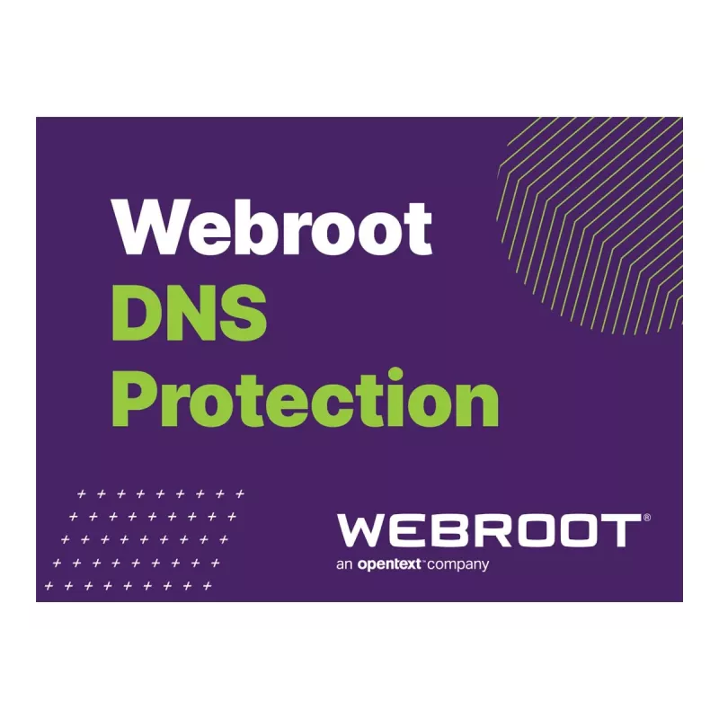 Webroot | DNS Protection su GSM Console | 2 metai | Licencijų kiekis 10-99 vnt.