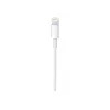 Apple USB-C į Lightning kabelis (1 m)