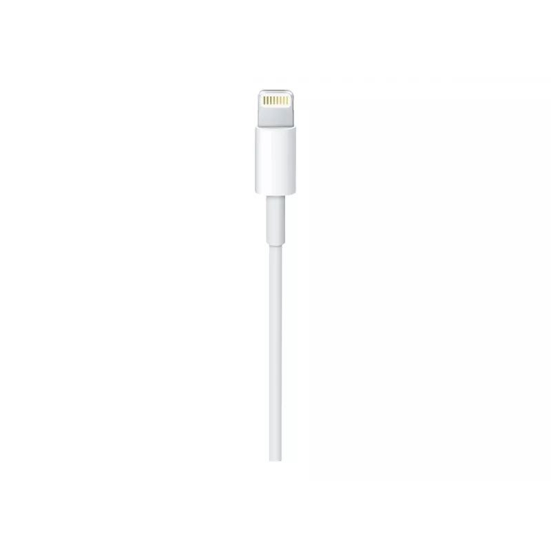 Apple USB-C į Lightning kabelis (1 m)