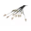 Breakout kabelis Digitus DK-2433CU030BK-BBB 30m OM4 12 skaidulų LC/UPC