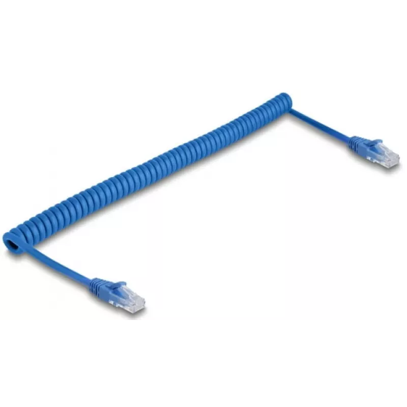 Tinklo kabelis DeLOCK 90197 mėlynas 1,2 m Cat6 U/UTP