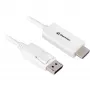 DisplayPort 1.2 adapterio kabelis Sharkoon 4K, 1 m ilgio