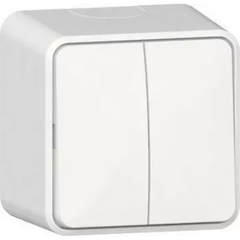 GIRA Rocker Switch 310513 serija AP gryna balta (310513)