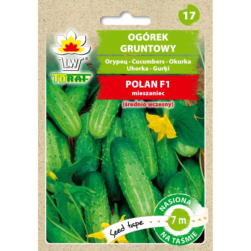 Polan F1 agurkų PNOS sėklos ant juostos, 6 m juosta