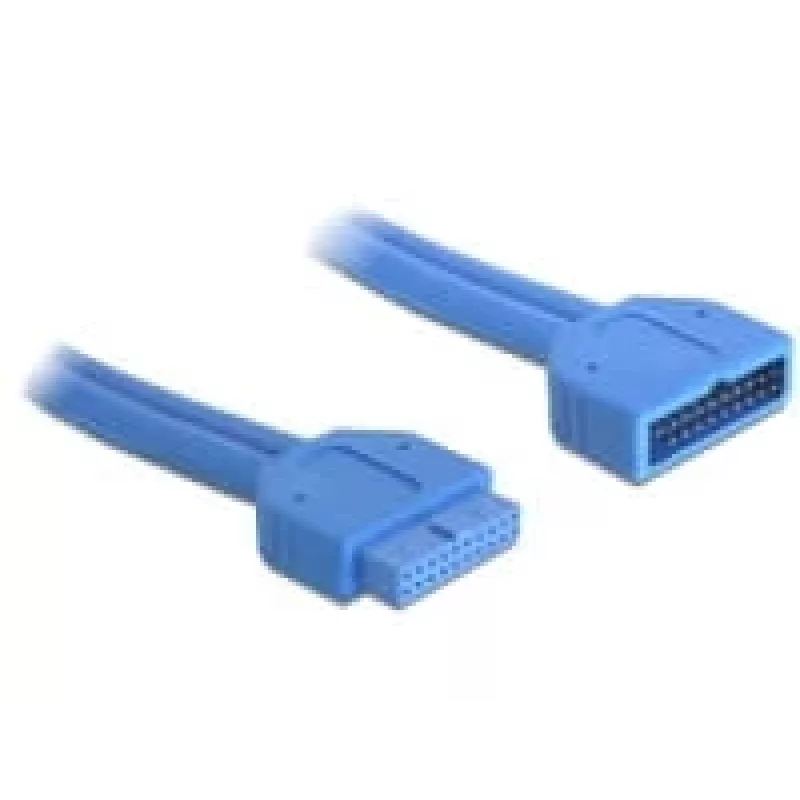 Vidinis USB laidas DeLOCK 82943 0,45 m USB 3.2 Gen 1 (vyriškas)