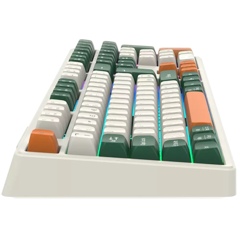 Mechaninė belaidė klaviatūra CANYON Shadder GKW-11 RGB White