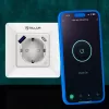 Išmanusis WiFi sieninis kištukas Tellur TLL331531 — 3600W 16A, nuotolinis valdymas per Wi‑Fi
