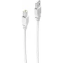 shiverpeaks BASIC-S USB 2.0 kabelis, A kištukas - B kištukas 1,8 m (BS-77022)