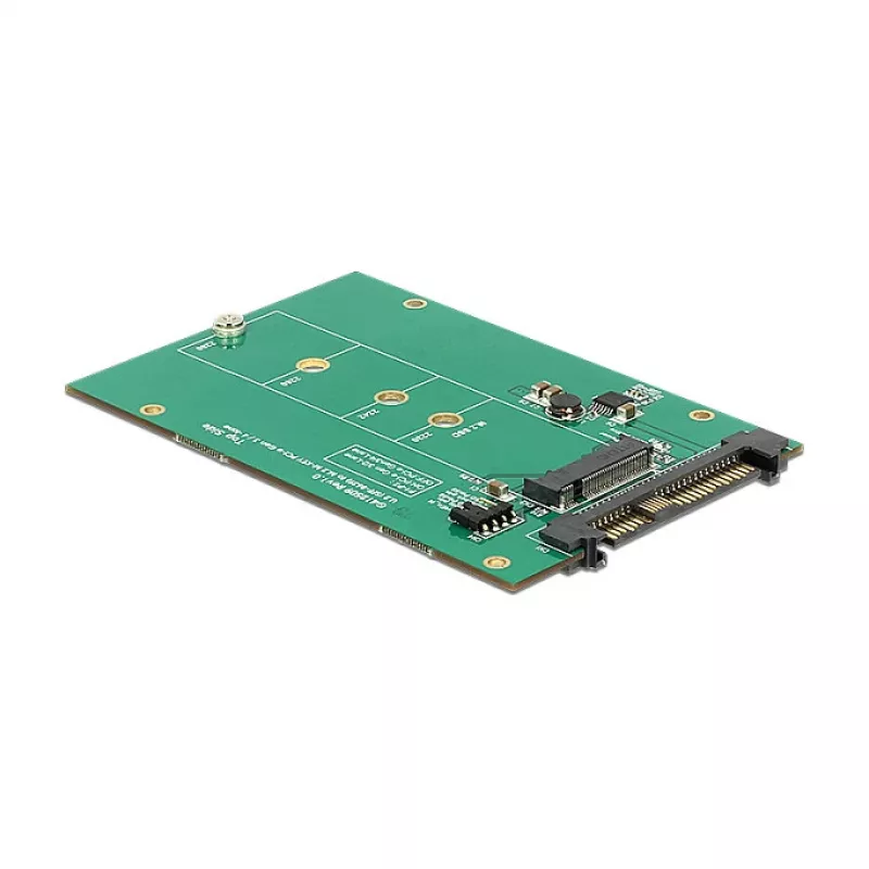 Vidinis M.2 adapteris DeLOCK 62696
