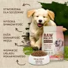 Sausas šunų maistas VETEXPERT Raw Paleo Healthy Grain Puppy Salmon and Barley 10 kg, baltymai 29% riebalai 17% drėgmė 9%