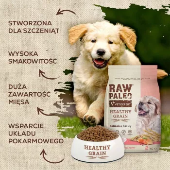 Sausas šunų maistas VETEXPERT Raw Paleo Healthy Grain Puppy Salmon and Barley 10 kg, baltymai 29% riebalai 17% drėgmė 9%