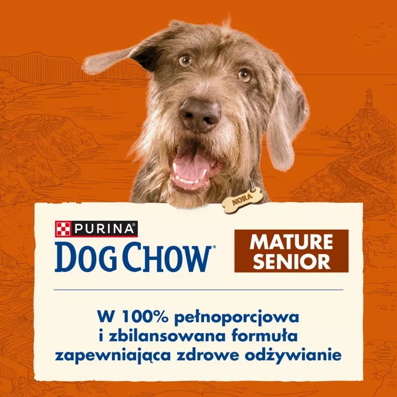 Sausas šunų maistas Purina Nestlé Dog Chow Mature Senior su ėriena 14 kg, 24% baltymų, 10% riebalų