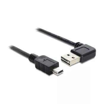 USB laidas DeLOCK 1m USB 2.0 A - miniUSB kišt./kišt.