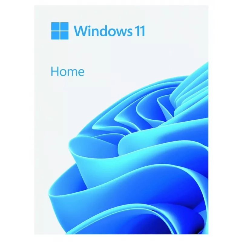USB atmintuko operacinė sistema Microsoft Windows Home 11 64 bitų, lenkų k., 64 GB, 1 licencija (FPP)