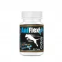GAME DOG AniFlexi FIT V2 sąnarių papildas šunims 30 tab.