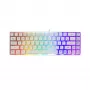 Klaviatūra White Shark RONIN balta USB QWERTY 68 klavišai LED