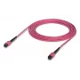 Skaidulinis optinis kabelis MPO Ubiquiti UACC-OFC-MA-MPMP-5M 5 m OM4