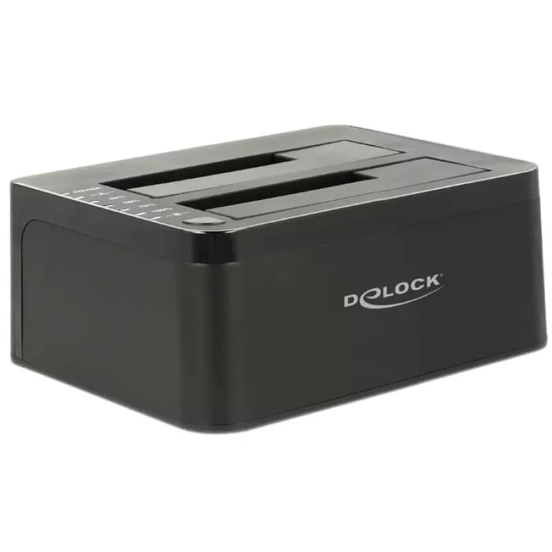 Delock ZG-12300 saugojimo diskas juodas