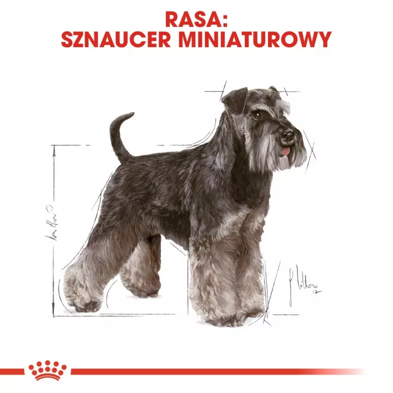 Sausas šunų maistas Royal Canin Miniature Schnauzer Adult, paukštiena, 3 kg, mažoms veislėms