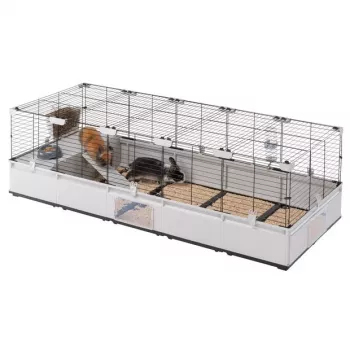 FERPLAST Modular 4 - narvas triušiams ir naminėms jūrų kiaulytėms - 179 x 72 x 56 cm