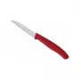 Victorinox 6.7601.C1 Raudona