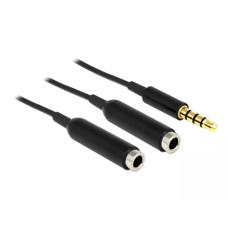 Garso kabelis DeLOCK 65575 0.25m 3.5mm 2 x 3.5mm juodas