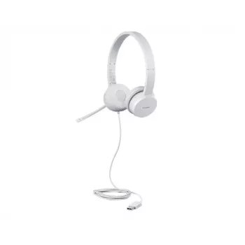 Lenovo GXD1E71385 ausinės / laisvų rankų įranga Laidinis Riešas Skambučiai / muzika USB Type-A Pilka