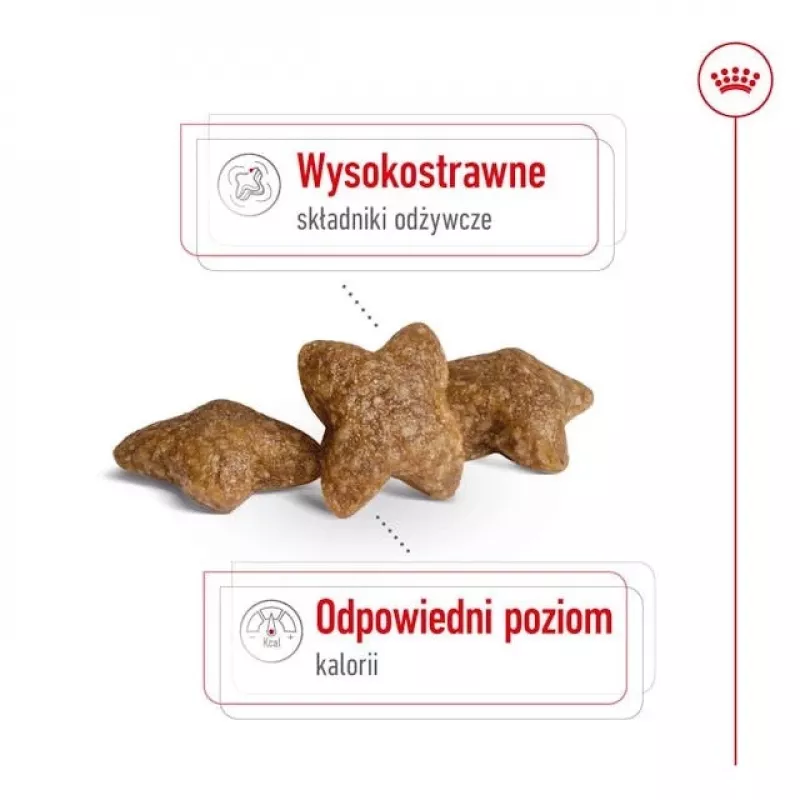Sausas šunų maistas Royal Canin Adult Mini S 8 kg — visavertė mityba mažiems suaugusiems šunims