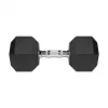 Gumuotas ketaus hantelis HEX 20 kg REBEL ACTIVE