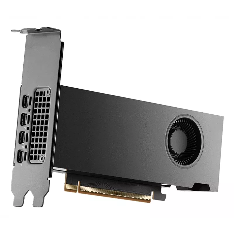 Grafikos plokštė NVIDIA RTX PRO 2000 16 GB GDDR7
