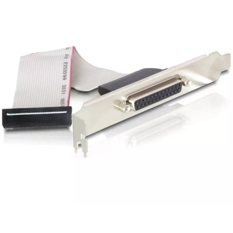 PCI Express kortelė DeLOCK 89177 4 x nuoseklioji 1 x lygiagrečioji