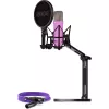 NT1 Signature + XLR laidas + stalinis studijos stovas, mikrofonas alyvinis, rinkinys