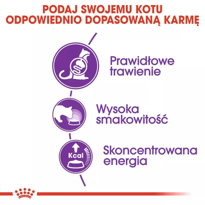 Sausas kačių maistas Royal Canin Sensible 33 4 kg — Suaugusios katės, paukštiena ir ryžiai, baltymai 33%, riebalai 22%