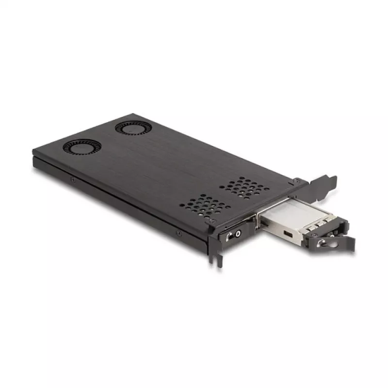 Delock PCI Express x16 kortos rėmas dviem M.2 NVMe SSD su bifurkacija 47042