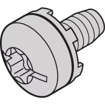 SCHROFF Screw Taptite - NTS M6 TAPTITE varžtas 50 vnt. (23130285)