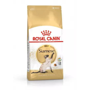 Royal Canin Siamese Adult sausas ėdalas katėms, 2 kg