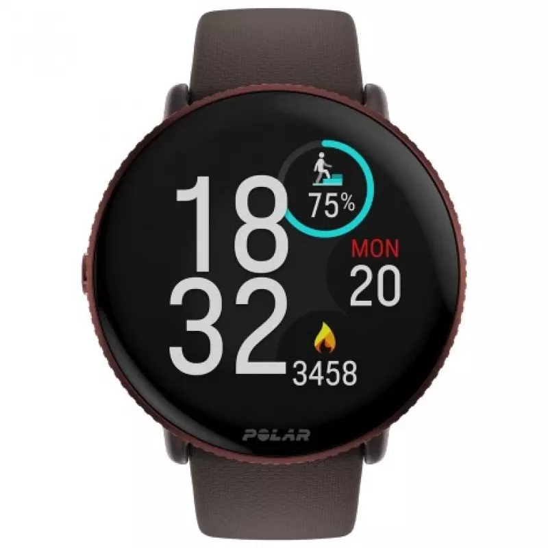 Polar Ignite 3 Titanium Brown Leather M/L