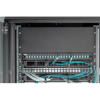 Tuščioji panelė Digitus DN-19 BPN-04-SW