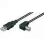 Wentronic Goobay USB 2.0 Hi-Speed kabelis, juodas, 5 m - USB 2.0 kištukas (A tipo) > USB 2.0 kištukas (B tipo) (95118)