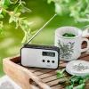 Nešiojamasis skaitmeninis radijas Adler AD 1907 — AM/FM, skaitmeninis imtuvas, žadintuvas, USB-C, 600 mAh baterija, LCD, 20 išsaugotų stočių, teleskopinė antena