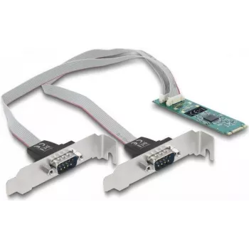 DeLOCK M.2 kortelė į 2 x nuosekliojo RS-232 DB9 PCIe 2.1