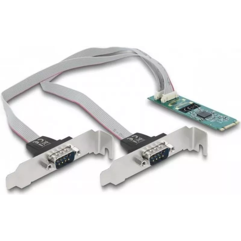 DeLOCK M.2 kortelė į 2 x nuosekliojo RS-232 DB9 PCIe 2.1