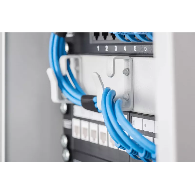 Kabelių valdymo panelė Digitus DN-10 ORG-1U