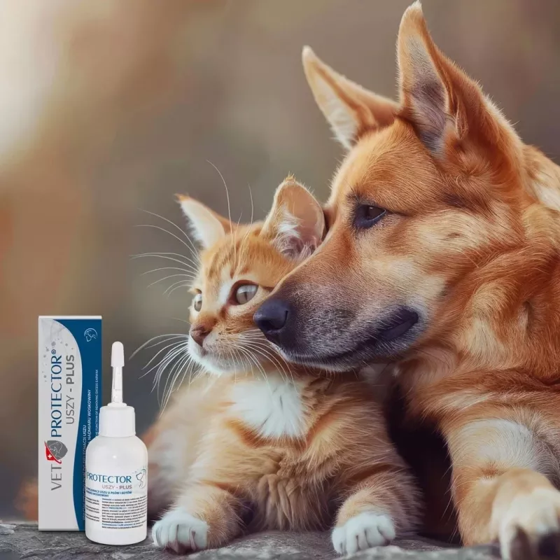 Ausų tirpalas JM Sante Vet Protector Uszy Plus 50 ml — suaugusių šunų ir kačių ausų priežiūra, plastikinis buteliukas