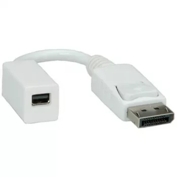 ROLINE adapteris (DisplayPort kištukas į Mini DisplayPort lizdą) (12033132)