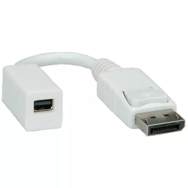 ROLINE adapteris (DisplayPort kištukas į Mini DisplayPort lizdą) (12033132)