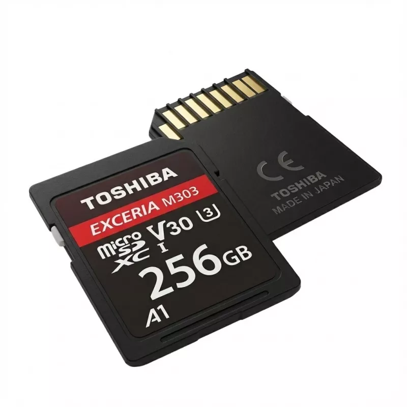SD atminties kortelė Toshiba SD Exceria R100 N203 256GB Class 10 UHS‑I