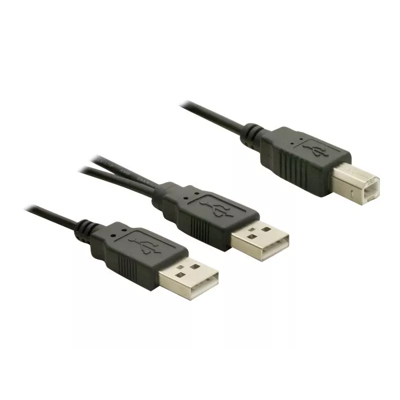 USB laidas DeLOCK USB-B/USB-A laidas 1 m juodas
