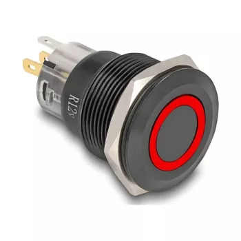 Skydo mygtuko jungiklis DELOCK 22015 22 mm, 12 V, 5 litavimo gnybtai